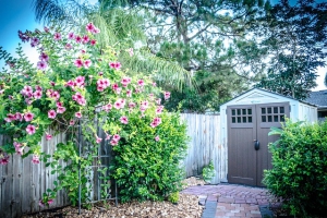 jardin-romantique-plantes