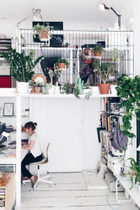 mezzanine isolée et décorée avec des plantes