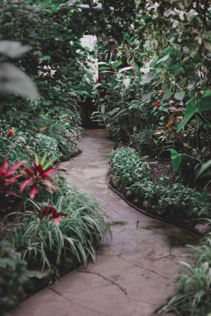 Une allée en pierre dans un jardin