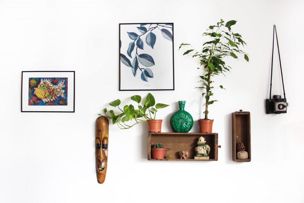 cadres, plantes et étagères sur un mur blanc