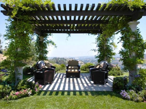 Terrasse ombragée par une pergola design recouverte de plantes grimpantes